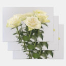 Suche nach zeitlos geschenkpapier Jede person