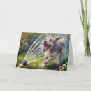 Suche nach schlauch karten Jede person