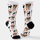 Suche nach hundesocken Personalisierte hundsocken