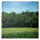 Suche nach maisfeld Natur