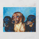Suche nach dog portrait postkarten Hund