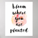Suche nach pflanzt Aquarell