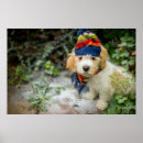 Suche nach schälen poster Fotografie