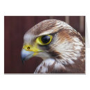 Suche nach raubvögel karten Falconer