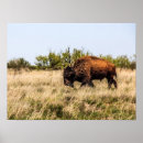 Suche nach texas landschaft poster Landschaften