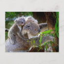 Suche nach fuzzy postkarten Baby
