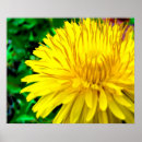 Suche nach morning sun poster Nature