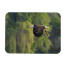 Suche nach weinend magnete Natur