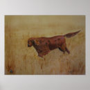 Suche nach irischer setter poster Aquarell