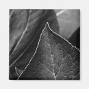 Suche nach kante magnete Natur