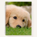 Suche nach goldene retriever kleine notizbücher Für sie