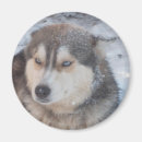 Suche nach zäh magnete Schnee