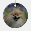 Suche nach keuchen ornamente Bob und pam langrish