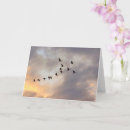 Suche nach krebs karten Jede person