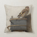 Suche nach goldfinch kissen Fink