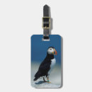 Suche nach kanada tag gepäckanhänger Grenze danita