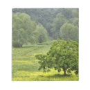 Suche nach felder notizblock Grün