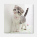 Suche nach halsketten magnete Katze