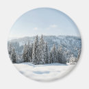Suche nach eisen magnete Schnee