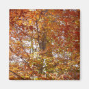 Suche nach orange blatt magnete Jede person