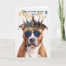 Suche nach pitbull karten Staffordshire