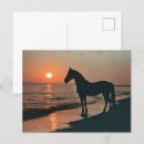 Suche nach reitsport postkarten Silhouette