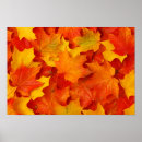 Suche nach herbstlaub poster Blattwerk