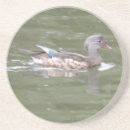 Suche nach ente untersetzer Tierwelt