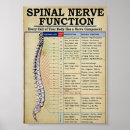 Suche nach wirbelsäule kunst Medizin