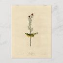 Suche nach catcher postkarten Illustration