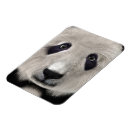 Suche nach kawaii panda magnete Japanisch