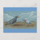 Suche nach rabe postkarten Zeichnend