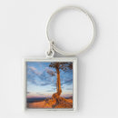 Suche nach bryce accessoires Natur