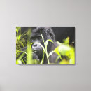 Suche nach wildnis kunst Wildtiere