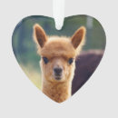 Suche nach alpaka ornamente Jede person