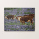 Suche nach hereford puzzle Bauernhof