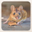 Suche nach maus untersetzer Wild