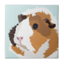 Suche nach meerschweinchen fliesen Cavy