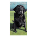 Suche nach schwarzer labrador retriever poster Hund