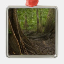 Suche nach guyana ornamente Regenwald