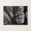 Suche nach marienkäfer puzzle Frühling