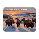 Suche nach in yellowstone magnete Landschaft