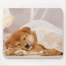 Suche nach lampen mousepads Horizontal
