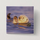 Suche nach seeotter buttons Pfote