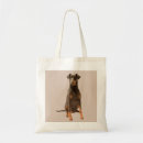 Suche nach dobermann pinscher taschen Welpe