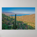 Suche nach arizona poster Saguaro