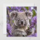 Suche nach koala bear karten Wunderbar