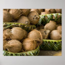 Suche nach kokosnüsse poster Tropisch