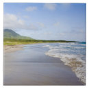 Suche nach karibisches meer fliesen Tropen