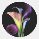 Suche nach lis aufkleber Schick